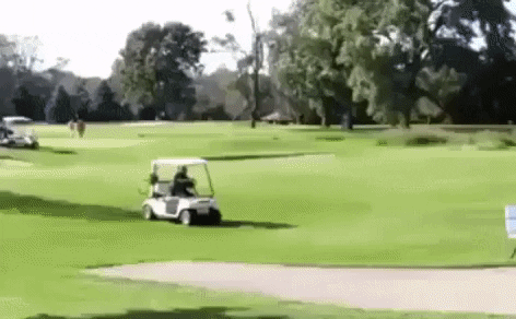 VicVik giphyupload GIF