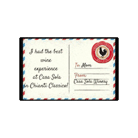 Wine Chianti Sticker by Casa Sola