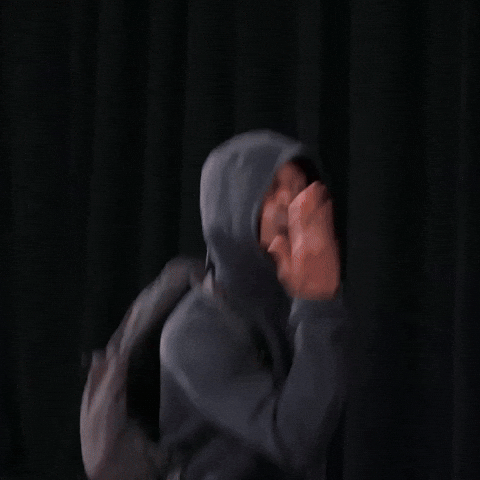 Timothee Chalamet Kiss GIF by Respective