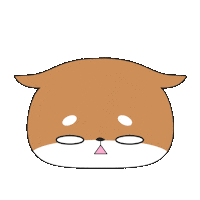 柴犬 落ち込む Sticker