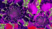 weird GIF by MFD