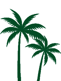 Aguadecoco Sticker by NATURAL BRASIL