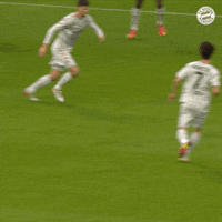 Allianz Arena Football GIF by FC Bayern Munich