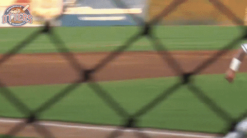 EvansvilleOtters giphyupload happy baseball good GIF