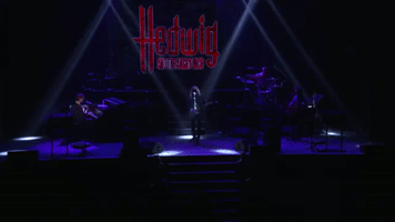 hedwig and the angry inch GIF by Obie Awards