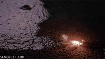 clint eastwood fire GIF by Cheezburger