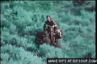 guy buffalo GIF