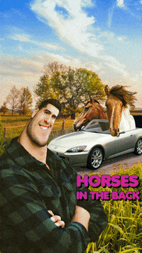 Iphone Horses GIF
