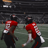 Texas Tech GIF by Texas Tech Football