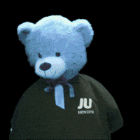 Dance Party GIF by Junge Union Menden