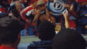 supporter's shield fans GIF by New York Red Bulls