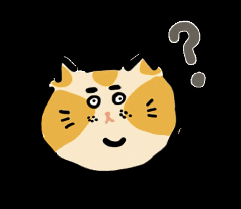 nanaplaying giphygifmaker cat 問號 啥 GIF
