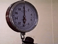 Vintage Vhs GIF by jorgemariozuleta