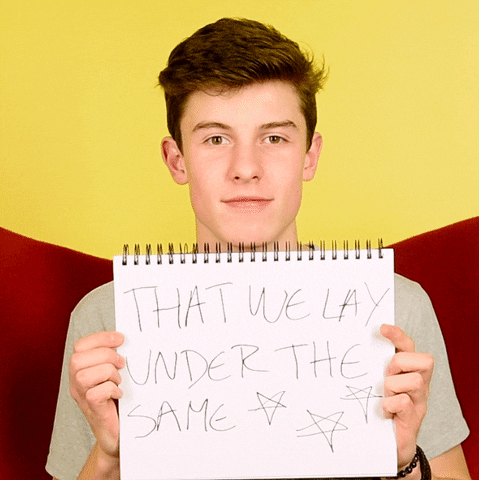 shawn mendes GIF
