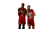 Liga Endesa Basketball Sticker by ACB