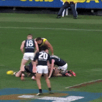 Carlton Blues Afl GIF by Carlton Football Club