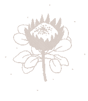 diegoueuur flower australia victoria south africa Sticker