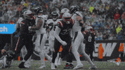 Nfl Pats GIF by New England Patriots