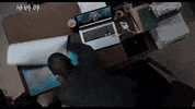 Korean Movies GIF