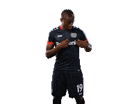 Showing Bayer 04 Sticker by Bayer 04 Leverkusen