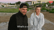 Sea Lion Reaction GIF by Married At First Sight