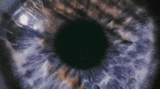 hannahjohnston art animation eyes blink GIF