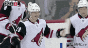 Ice Hockey Sport GIF by NHL