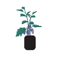 Grow Sticker by Alvéole