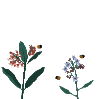 Pollination Sticker by Alvéole