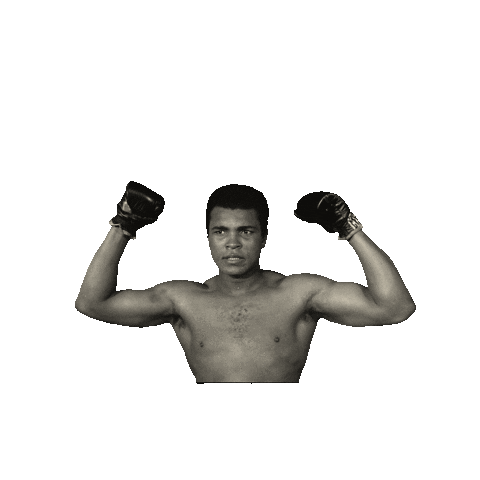 muhammad ali fight STICKER by imoji