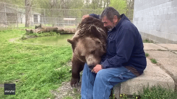 Bear Bonds With Wildlife Center Worker at New York Rescue