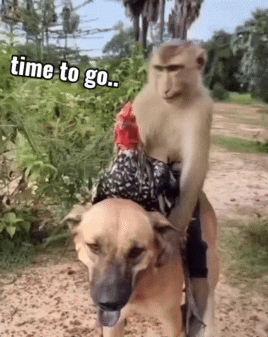 The World Dog GIF by EsZ  Giphy World