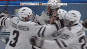 Ice Hockey Win GIF by TheDreamTeam 