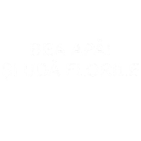 Self Care Romania Sticker
