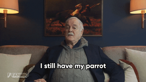 Monty Python Dead Parrot GIF by Fanmio