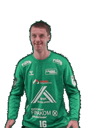 Handball Sticker by HSGSpradow