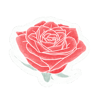 Red Rose Sticker
