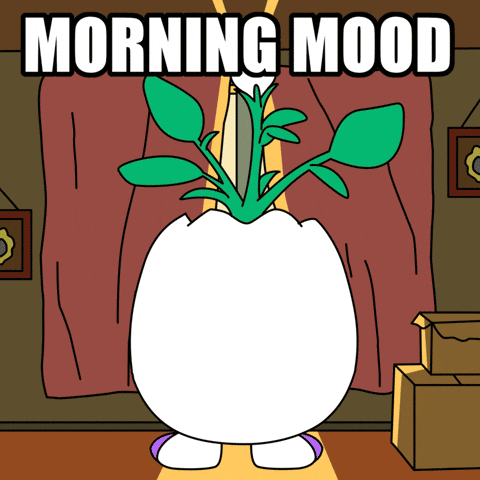 Tired Good Morning GIF by Magic Eden