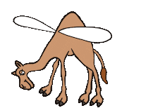 camel hamzatwaslstudio Sticker