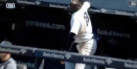 looking out new york yankees GIF by MLB