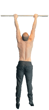 FlexCalisthenics flex calisthenics pullup teamflex Sticker