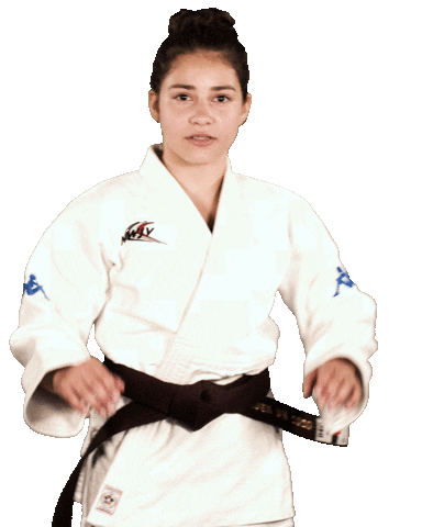 Fight Judo Sticker by Ruhr Games