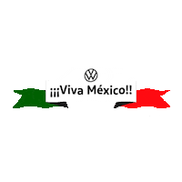 Car Mexico Sticker by VWCity