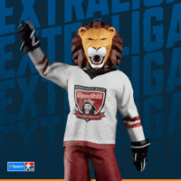 Hockey Hokej GIF by Tipsport extraliga