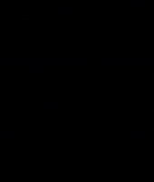 Flamer GIF by The Flame