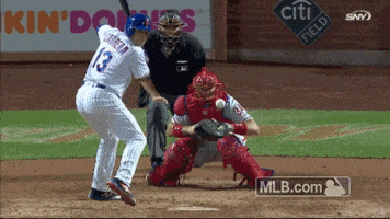 New York Mets Baseball GIF by MLB