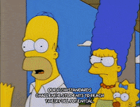homer simpson episode 25 GIF
