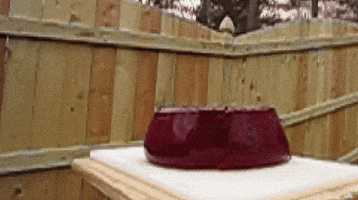 time smacks GIF