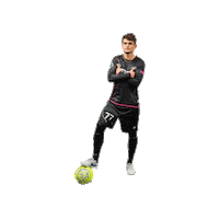 Riseasone Sticker by St. Louis Ambush