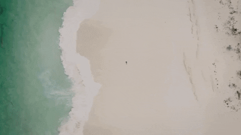 Beach Running GIF by nettwerkmusic